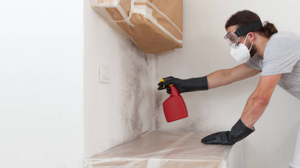Professional Crawl Space Mold Removal technician working in Pequannock, NJ