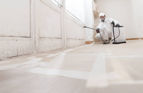 24/7 Emergency Crawl Space Mold Removal experts in Pequannock, NJ